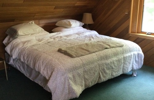 Hillman Apartment | Home is for SALE…stay in the guesthouse, and check it out.