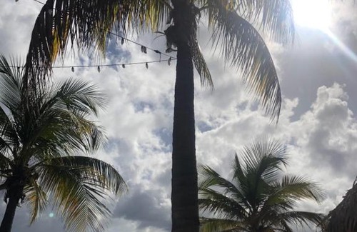 Montana House | Home of Eden