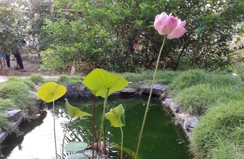 Ambalangoda Villa | HOME STAY LANKA