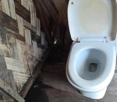 Santo Bed & Breakfast | Home stay tree house