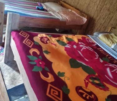 Santo Bed & Breakfast | Home stay tree house