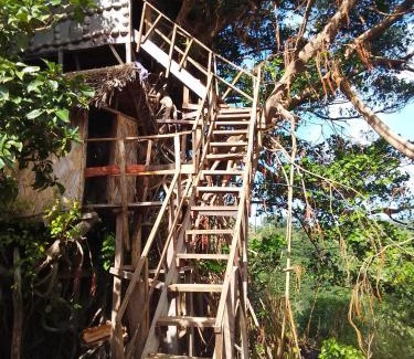 Santo Bed & Breakfast | Home stay tree house