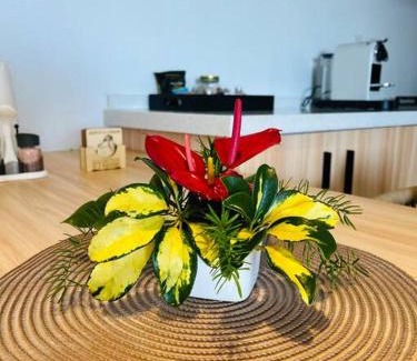 Candos Apartment | Home Sweet Home
