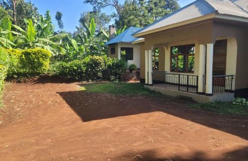 Moshi House | Home sweet home