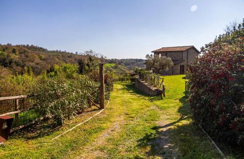 Montorgiali House | Home with a view in Scansano, Tuscany