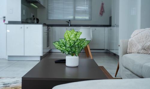 Greater Johannesburg Metropolitan Area Apartment | Homeaway