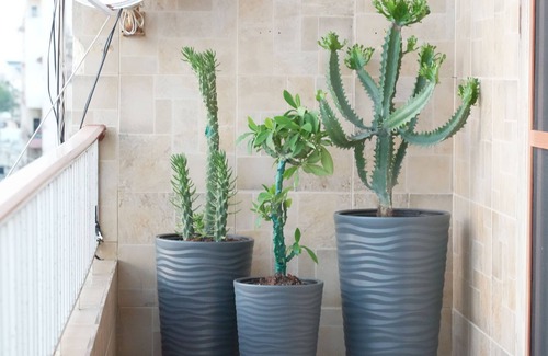 Tyre Apartment | "Homely Comfort, Moments from Clean Beaches, Historical Sites and Cozy Cafes!"