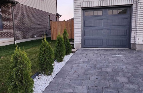 Thamesford House | Homely, cozy, spacious quiet basement apartment in a lovely neighborhood.