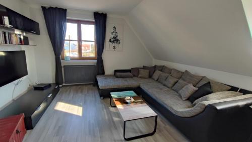 Dachau District Apartment | HOMELY STAY in a MODERN GREEN DREAM