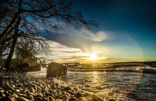 Ammerland Apartment | Homely Stay in a romantic lodging with sauna&gym