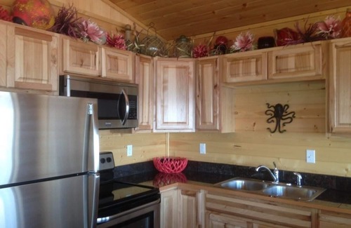 Homer Cabin | Homer Beachside Cabins