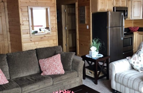 Homer Cabin | Homer Beachside Cabins