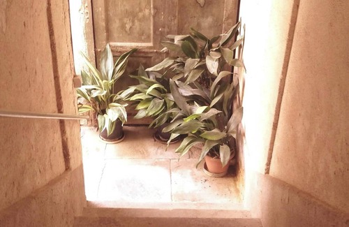 Ogliastro Cilento Apartment | Homerez - Apartment in Finocchito