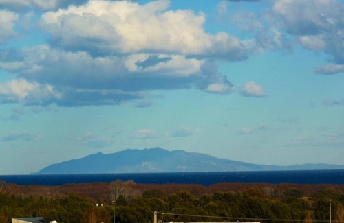 Penta-di-Casinca Apartment | Homerez - Appartement 3 km away from the beach for 5 ppl. with swimming-pool