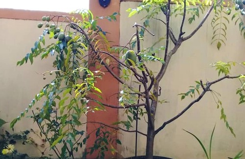 Vacoas-Phoenix Apartment | Homerez - Appartement 15 km away from the beach for 4 ppl. at Vacoas-Phoenix