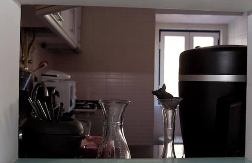 Santos Apartment | Homerez - Apt in Lisbon, city center