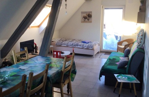 Lohr Apartment | Homerez - Beautiful appartement for 5 ppl. with terrace at Lohr