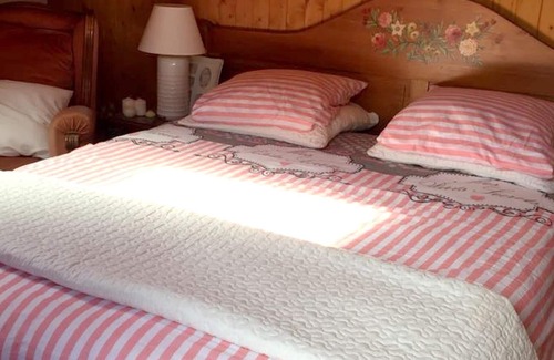 Tudeils Ski Chalet | Homerez - Chalet for 10 ppl. with swimming-pool, garden and terrace at Tudeils