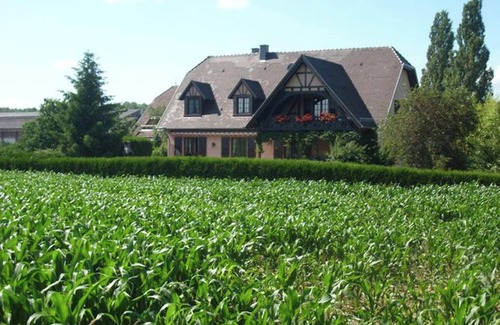 Hochfelden Apartment | Homerez - Charming Apartment in Hochfelden - 100 m² and Free Parking