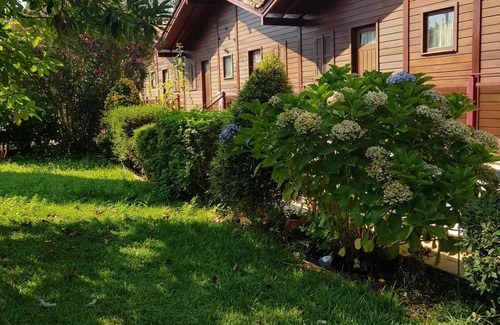 Ourem Apartment | Homerez - Charming studio in Matas with pool and jacuzzi