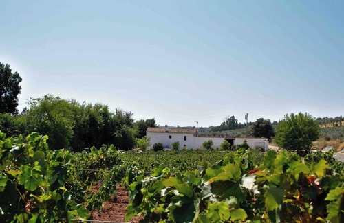 Montilla Villa | Homerez - Elegant Villa in Montilla with Private Pool