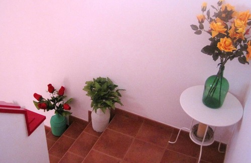 Alandroal House | Homerez - Exceptional house with garden and balcony