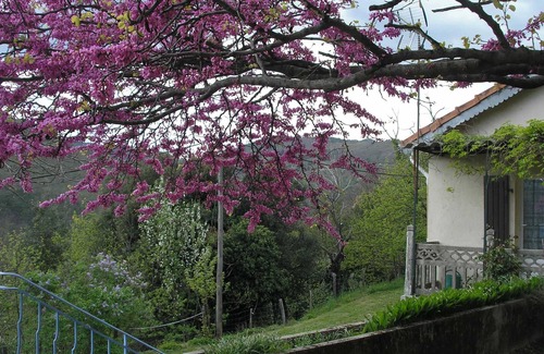 Saint-Martin-de-Boubaux House | Homerez - House in Saint-Martin-de-Boubaux