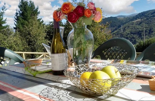 Grandas de Salime House | Homerez - House in Grandas de Salime