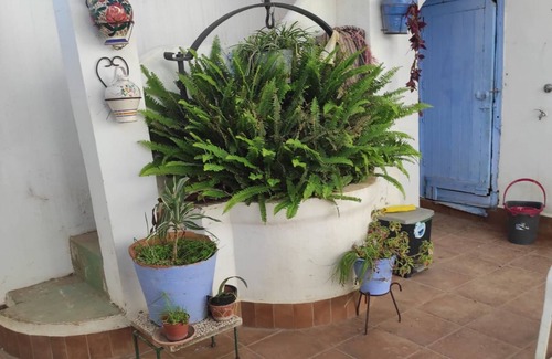 San Roque House | Homerez - House Puente Mayorga