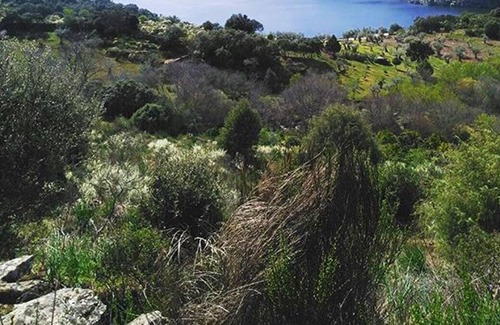 Perena House | Homerez - Nice house with garden and terrace & Wifi