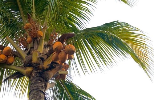 Guery House | Homerez - Nice house 3 km away from the beach for 4 ppl. with swimming-pool