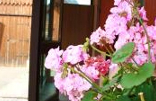 Pontebba House | Homerez - Nice house with terrace and mountain view