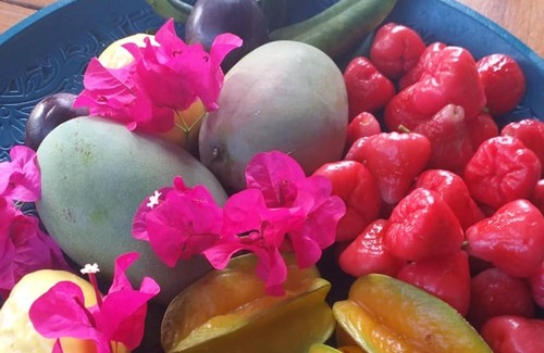 Le Moule Villa | Homerez - Nice villa 4 km away from the beach for 4 ppl. with swimming-pool