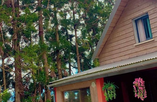 La Plaine-des-Palmistes House | Homerez - Bungalow in La Plaine des Palmistes