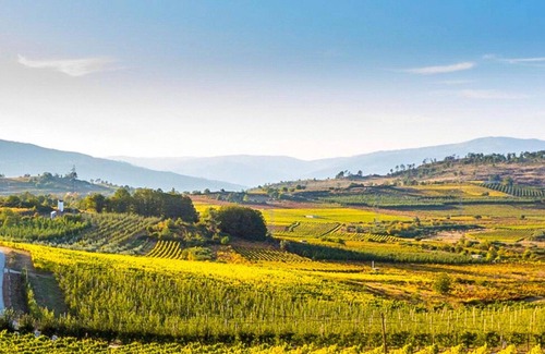 Queimada Apartment | Homerez - Studio for 2 ppl. with shared pool, jacuzzi and terrace at Armamar