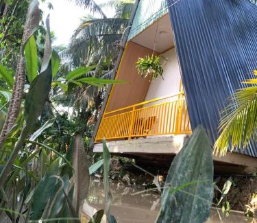 Ben Tre Bed & Breakfast | Homestay and Tour Ben Tre