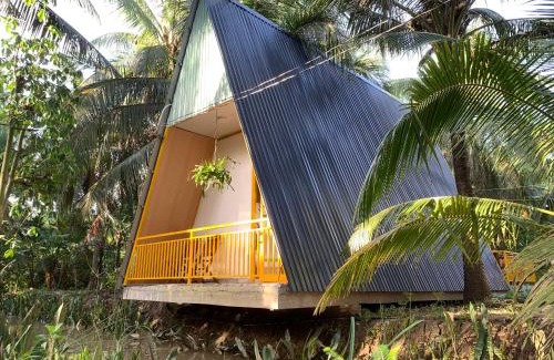 Ben Tre Bed & Breakfast | Homestay and Tour Ben Tre