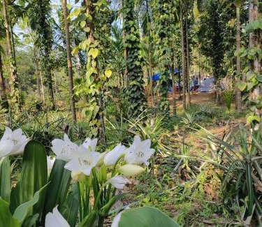 South Garo Hills House | Homestay & Camping Warichora Meghalaya