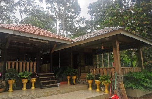 Slim River House | HOMESTAY DUSUN ANA BALUN