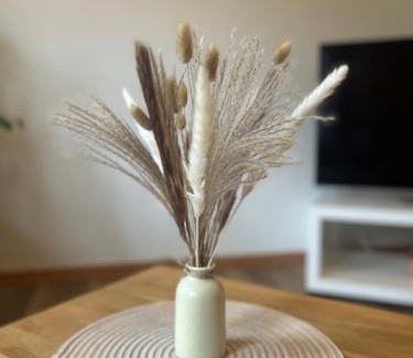 Bad Griesbach im Rottal Apartment | Homestay - Ferienwohnung Apfelgarten