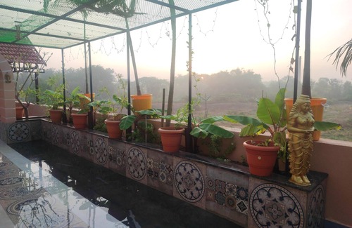 Kumbakonam House | Homestay & Homecare amidst Gracious Trees & whispering birds