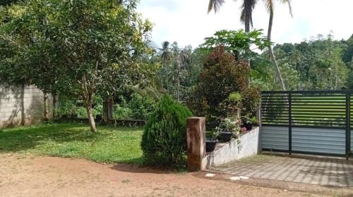 Welipitiya House | Homestay in Naturals Village
