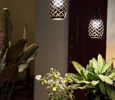 Devikolam House | Homestay INN Munnar
