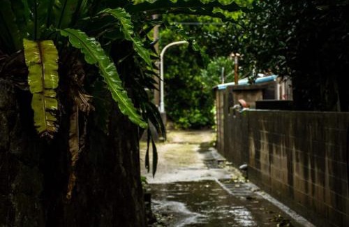 Asa House | HOMESTAY Kucha - Vacation STAY 17857v