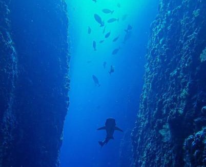 Bima House | Homestay larangga