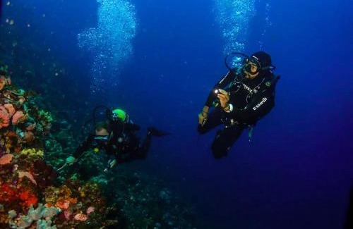 Bima House | Homestay larangga