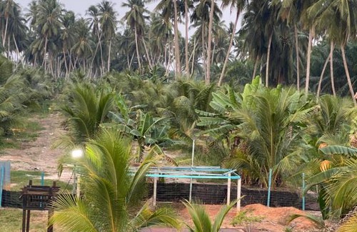 Kampung Sungai Burong House | Homestay Naim Sabak Bernam
