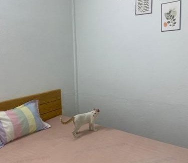 Trang Bom House | Homestay tay