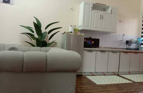 Bota House | Homestay Tok Abah Seri Iskandar