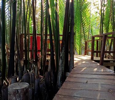 Ben Tre Hotel | Homestay Xóm Dừa Nước
